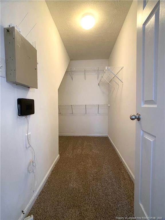 walk in closet featuring carpet