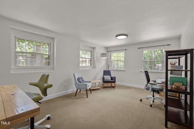 carpeted office with baseboards