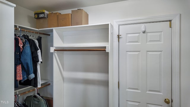 view of walk in closet