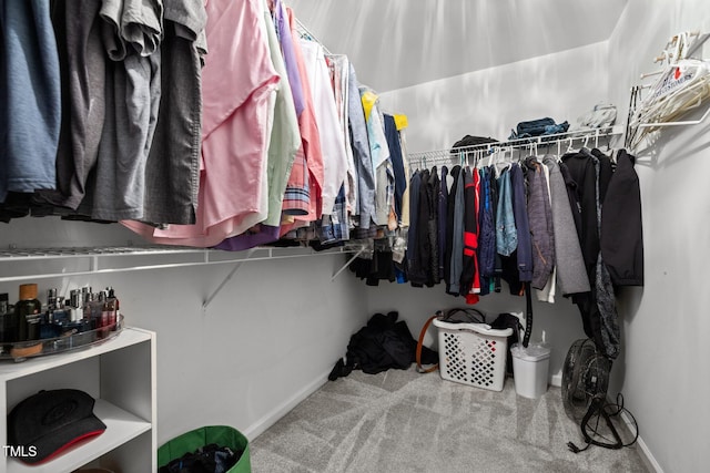 walk in closet with carpet floors