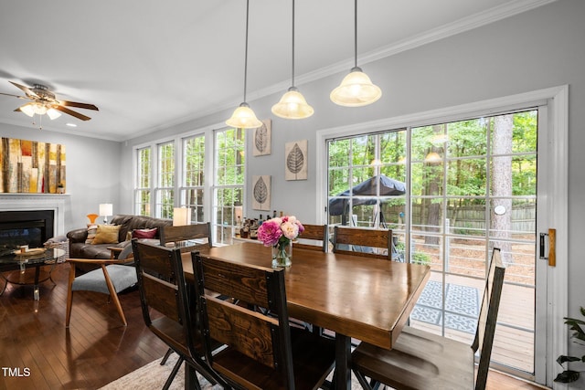 dining area featuring crown molding, wood-type flooring, a ceiling fan, and a glass covered fireplace