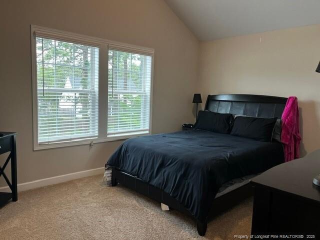 116 Georgia Dr, Raeford, NC 28376 - bedroom with lofted ceiling, baseboards, and carpet floors