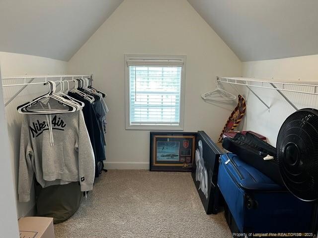 116 Georgia Dr, Raeford, NC 28376 - spacious closet with carpet floors and vaulted ceiling