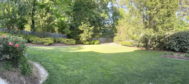 view of yard
