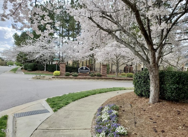 view of asphalt street featuring sidewalks and curbs