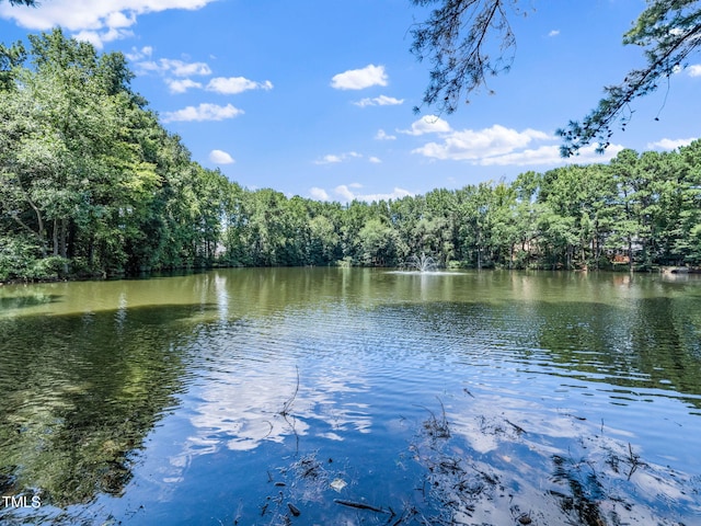 2610 Sawmill Rd, Raleigh, NC 27613 - photo 23