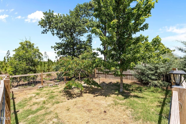 870 Kentucky Derby Ln, Lillington, NC 27546 - view of yard featuring fence