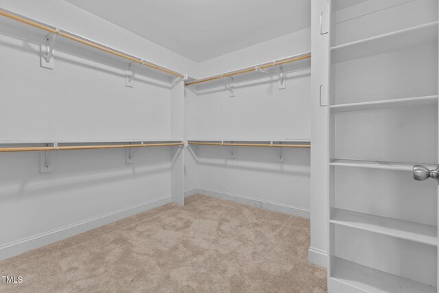 870 Kentucky Derby Ln, Lillington, NC 27546 - walk in closet with carpet flooring