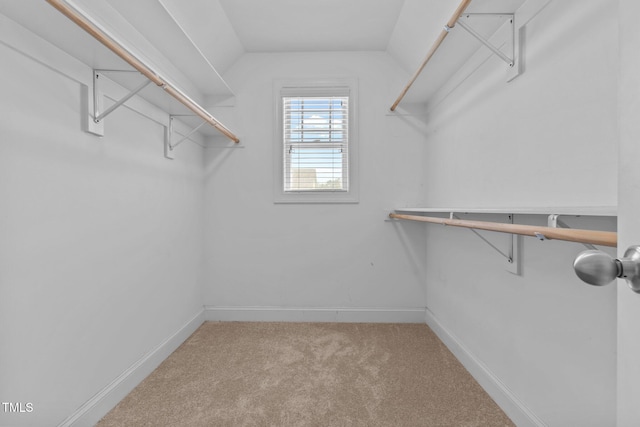 870 Kentucky Derby Ln, Lillington, NC 27546 - walk in closet featuring carpet floors and vaulted ceiling