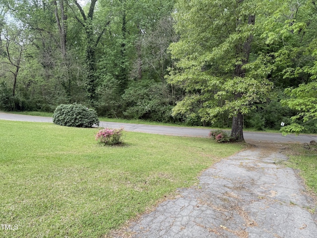 420 Rodwell St, Warrenton, NC 27589 - surrounding community featuring a lawn and a forest view