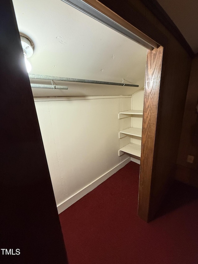 420 Rodwell St, Warrenton, NC 27589 - walk in closet with carpet