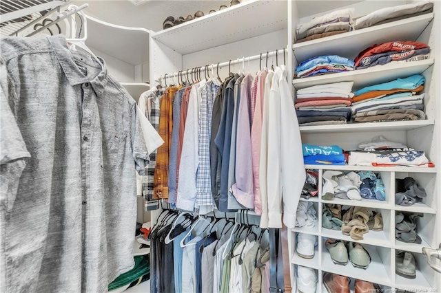 view of spacious closet
