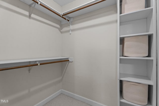 spacious closet with carpet flooring