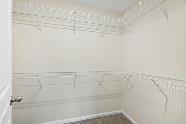 spacious closet with carpet