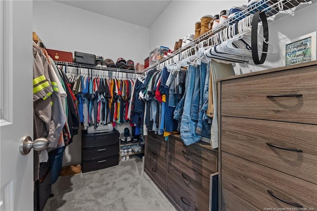 308 Laurel Lake Rd, Salemburg, NC 28385 - walk in closet featuring carpet flooring