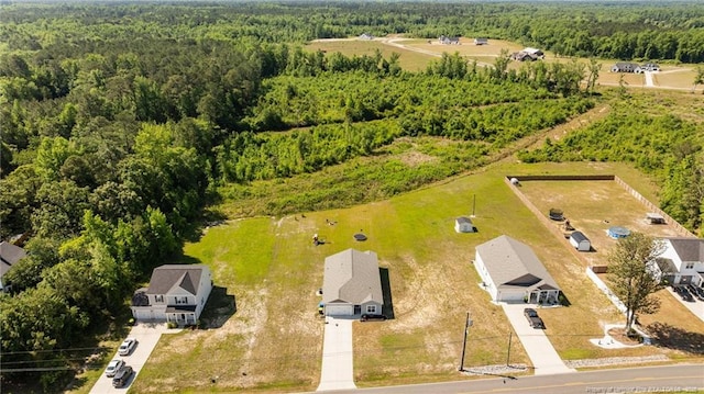 308 Laurel Lake Rd, Salemburg, NC 28385 - drone / aerial view of a forest