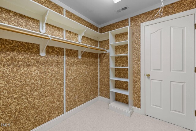mudroom with carpet floors
