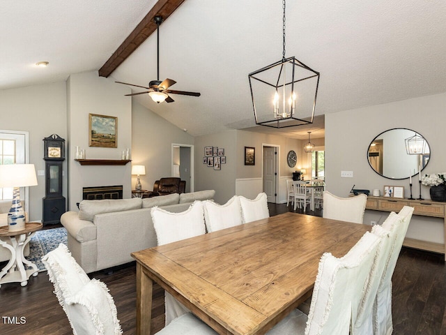 dining room featuring dark wood-style floors, a chandelier, and ceiling fan