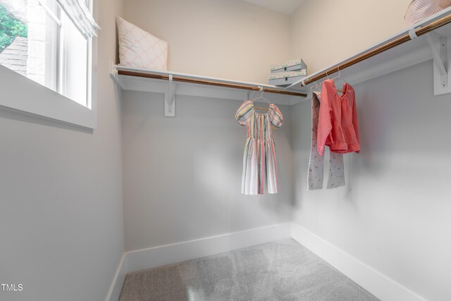 318 Ivy Ridge Rd, Chapel Hill, NC 27516 - walk in closet featuring carpet flooring