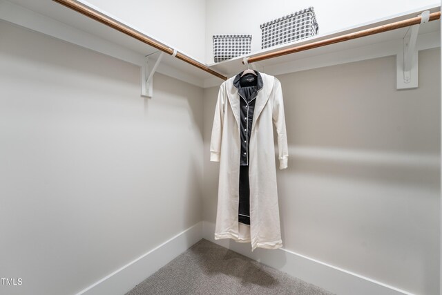 318 Ivy Ridge Rd, Chapel Hill, NC 27516 - walk in closet featuring carpet flooring