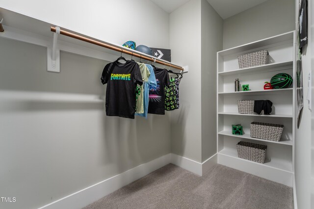318 Ivy Ridge Rd, Chapel Hill, NC 27516 - spacious closet featuring carpet floors