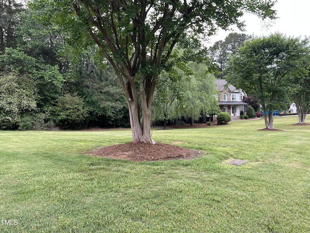 view of green lawn