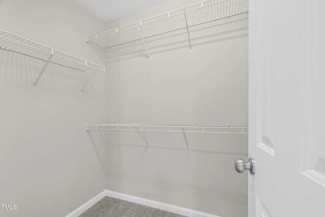 8820 Waynick Dr, Raleigh, NC 27617 - spacious closet with carpet