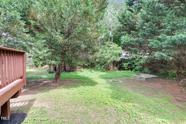 8820 Waynick Dr, Raleigh, NC 27617 - view of green lawn