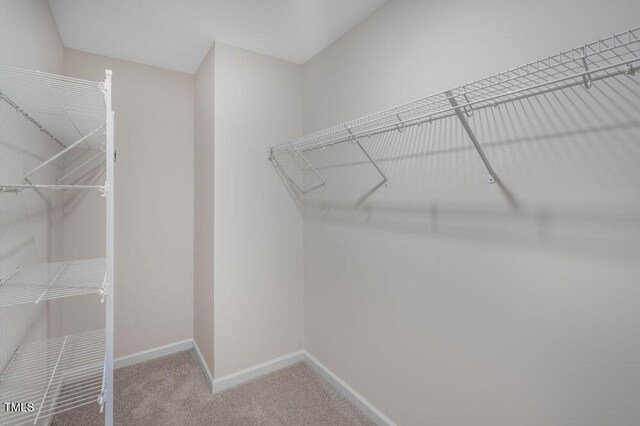 800 Bullhorn Dr, Wake Forest, NC 27587 - spacious closet with carpet flooring
