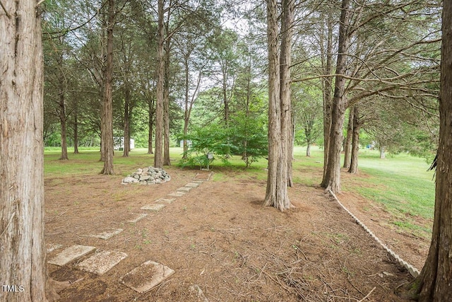 view of green lawn