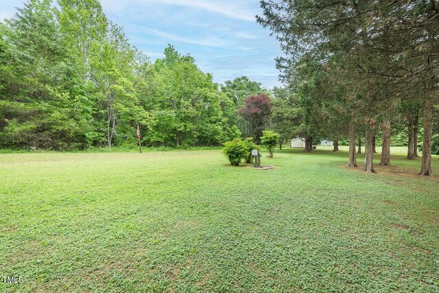 view of grassy yard
