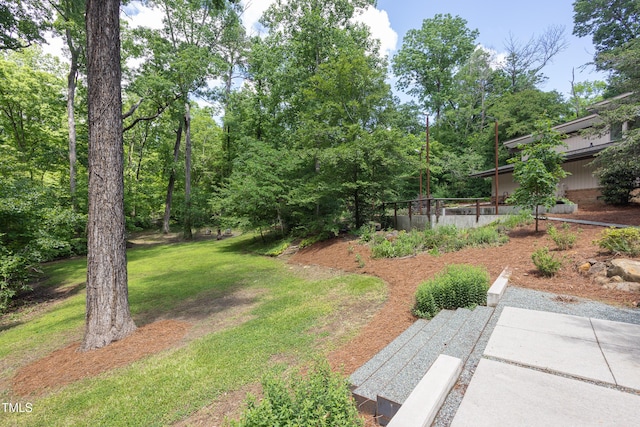 view of grassy yard