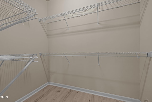 1020 Kingston Grove Dr, Cary, NC 27519 - walk in closet with light wood finished floors