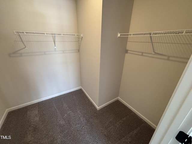 walk in closet with dark colored carpet