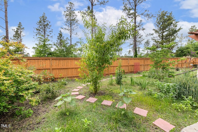 182 Brendamoore Ct, Fuquay Varina, NC 27526 - view of fenced backyard