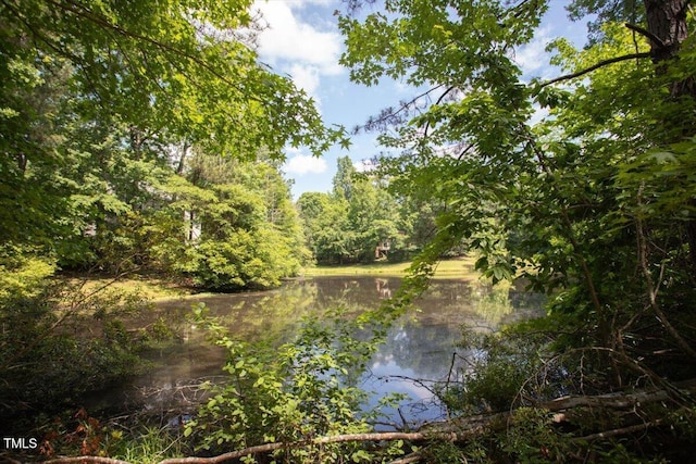 111 Killam Ct Unit 2A, Cary, NC 27513 - water view featuring a forest