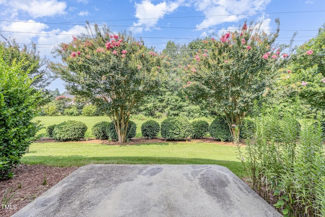 958 Shining Wire Way, Morrisville, NC 27560 - view of grassy yard with a patio area