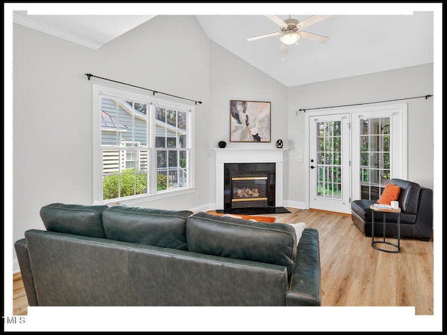 717 Quiet Woods Pl, Durham, NC 27712 - photo 12