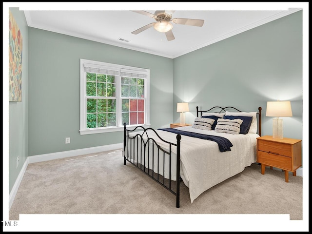 717 Quiet Woods Pl, Durham, NC 27712 - photo 16