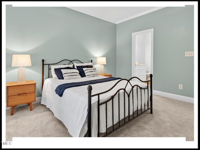 717 Quiet Woods Pl, Durham, NC 27712 - photo 17