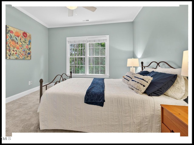 717 Quiet Woods Pl, Durham, NC 27712 - photo 18