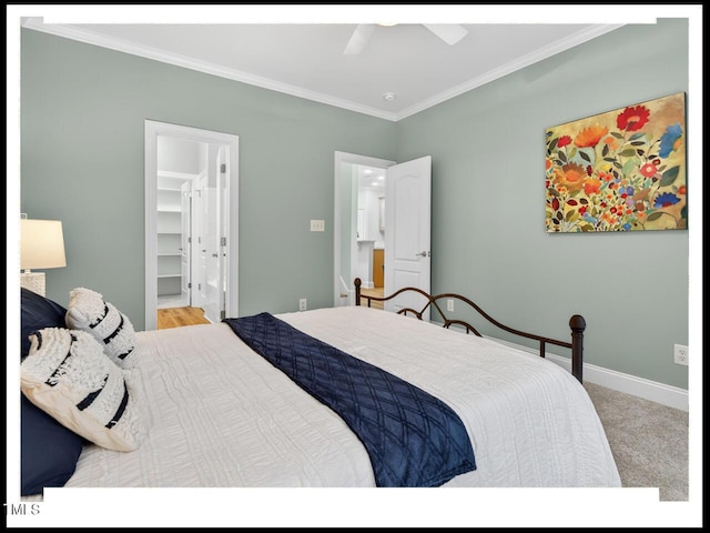 717 Quiet Woods Pl, Durham, NC 27712 - photo 19