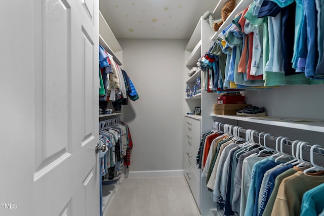 120 Harmony Hill Ln, Cary, NC 27513 - view of spacious closet