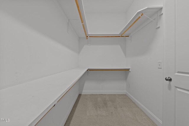 walk in closet featuring light carpet