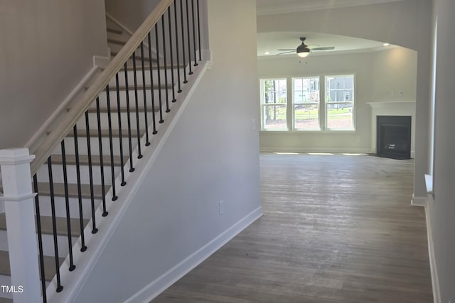 40 Accord Dr, Youngsville, NC 27596 - photo 4