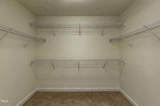 716 Lakeview Ave, Wake Forest, NC 27587 - walk in closet featuring light colored carpet