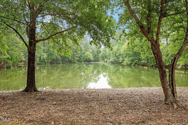 1969 Bowles Ave, Creedmoor, NC 27522 - water view with a forest