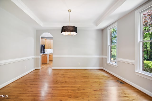 unfurnished room with a tray ceiling, healthy amount of natural light, and light wood finished floors