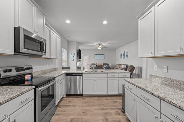 kitchen with stainless steel appliances, a sink, open floor plan, light wood-style flooring, and a ceiling fan