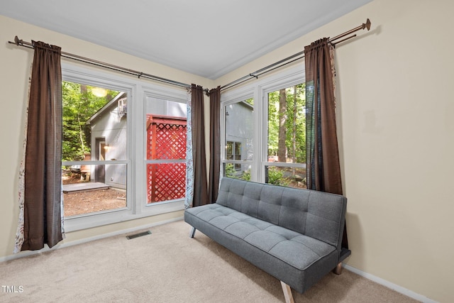 living area with carpet, healthy amount of natural light, and baseboards